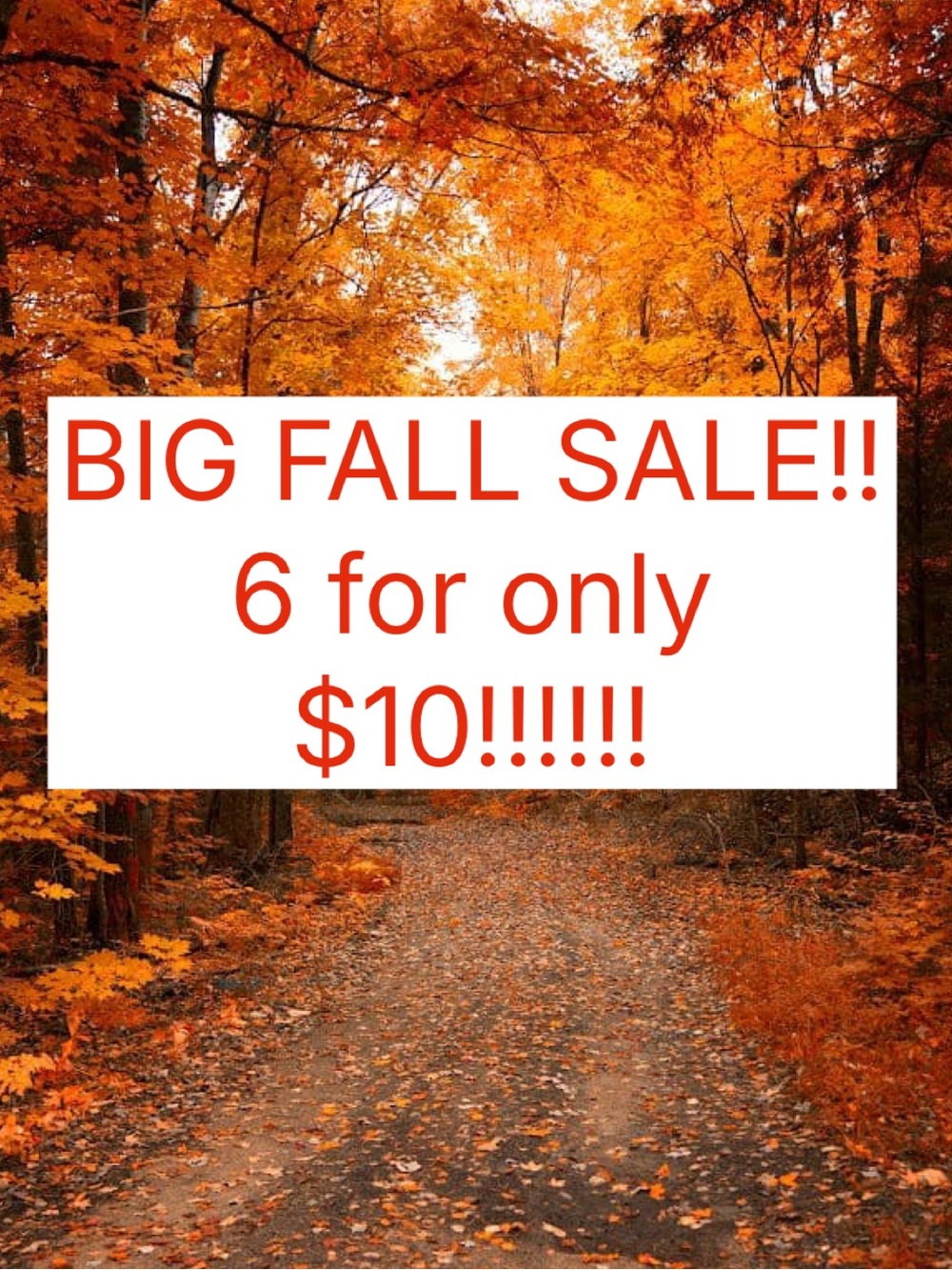 🍁🍂6 FOR $10!! 🍂🍁